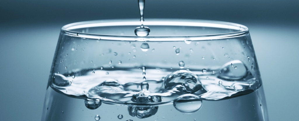 H2O Enterprise legionella analyses