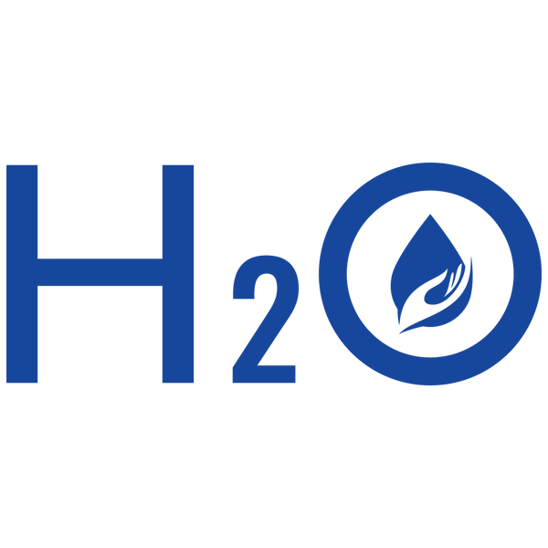 H2O Enterprise logo 1